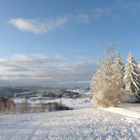 Prinzenhof Гостевой дом Gross Gerungs