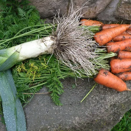 Гостевой дом Prinzenhof Gross Gerungs