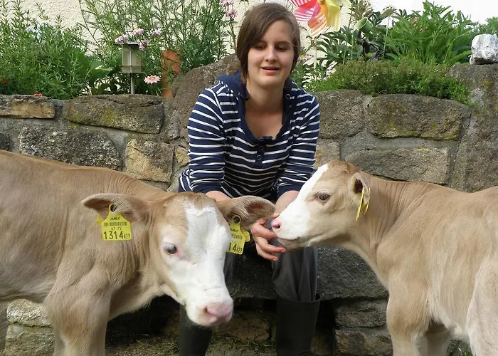 Prinzenhof Gæstehus Gross Gerungs