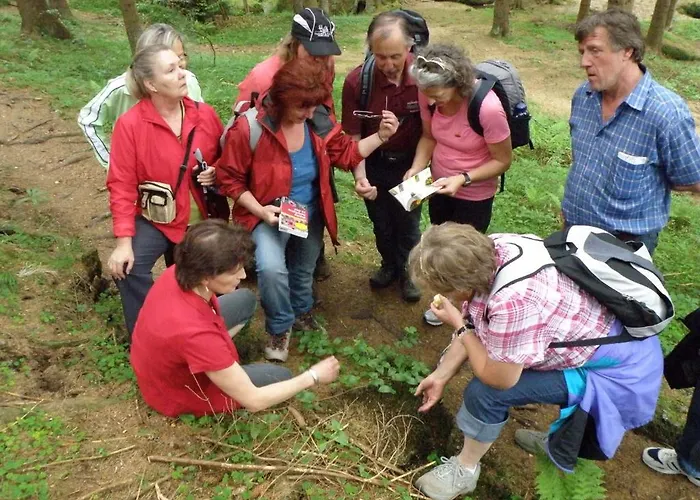 Gæstehus Prinzenhof 3*