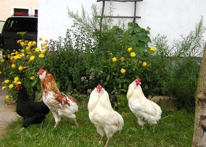 Gæstehus Prinzenhof Gross Gerungs