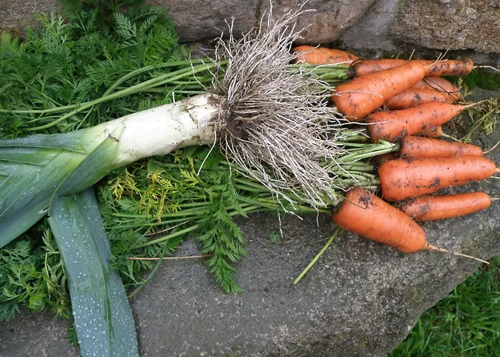 Gæstehus Prinzenhof Gross Gerungs