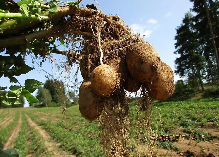 Prinzenhof Gross Gerungs