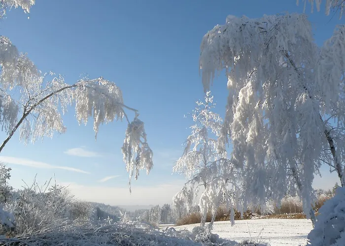 Gæstehus Prinzenhof Gross Gerungs